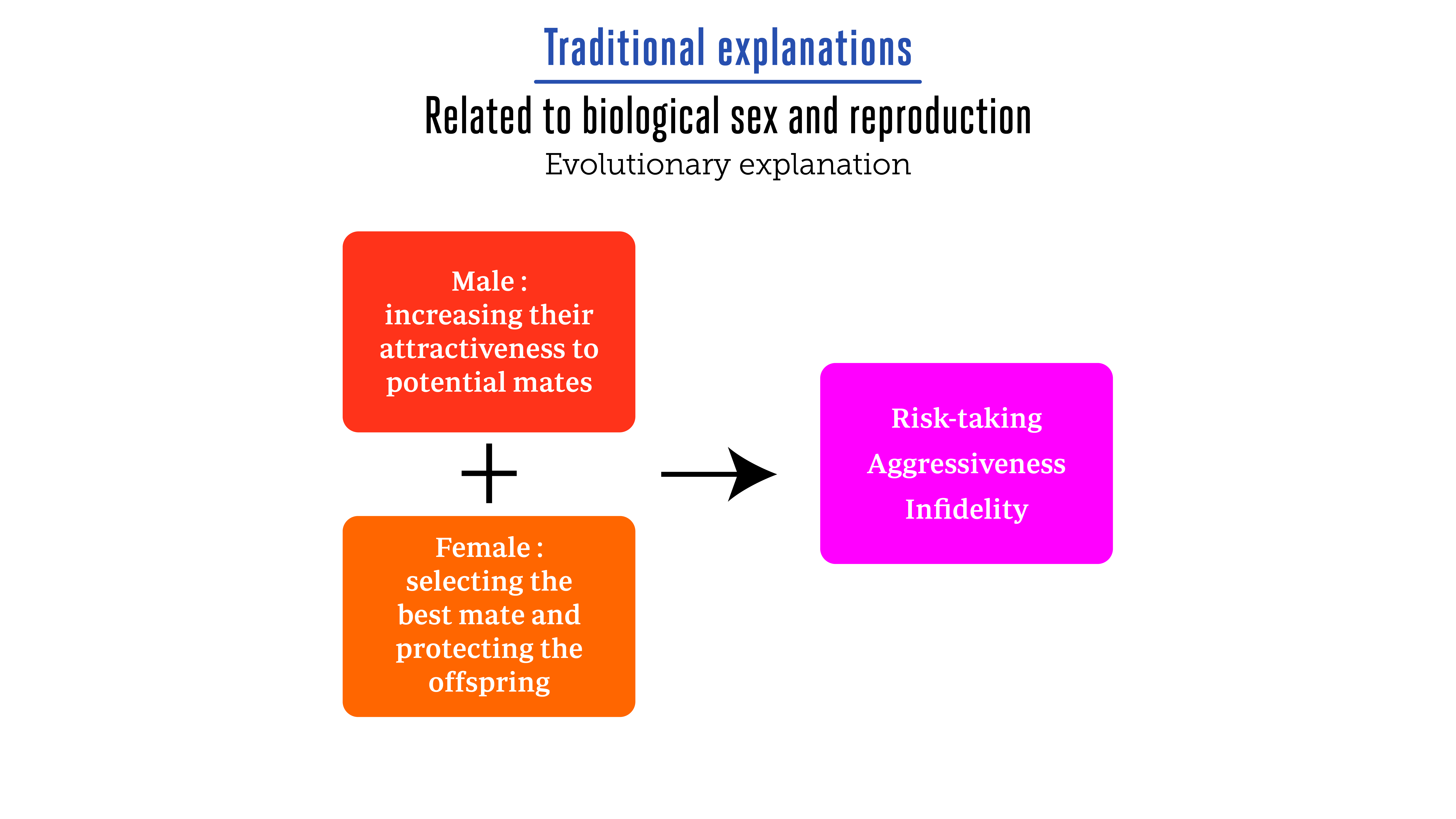 Eng Fig3VE.jpg