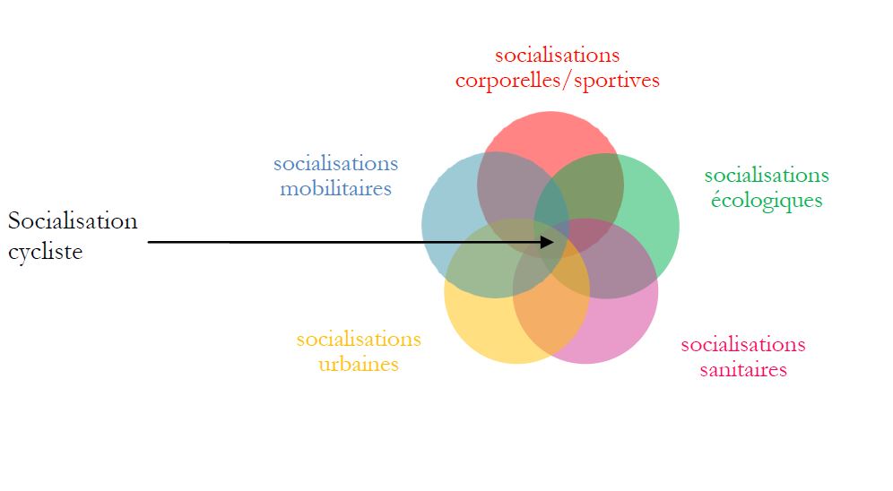 graph_socialisation_velo_filles_garcons.jpg