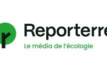 Voie dédiée au covoiturage sur le périph’ : un pari risqué pour l’écologie