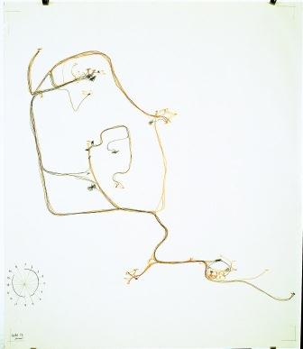 Gisèle Durand, tracing paper,1977 © Editions L'Arachnéen